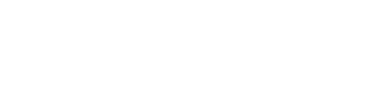 BDSV Logo